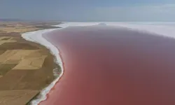 Tuz Gölü bakteriler nedeniyle pembe oldu!
