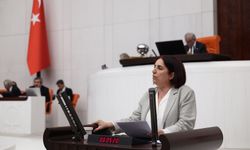 DEM Partili Çelenk: Bilimsel özerkliğin olmadığı yerde bilim üretemeyiz