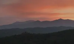 Yalova, Kütahya ve Çanakkale yangınları tamamen kontrol altına alındı