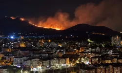 Ankara'da ağaçlık alanda yangın; müdahale sürüyor