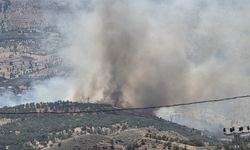 Adıyaman'da orman yangını!