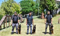 Başkentte 14 K9 köpeği 7 gün 24 saat görev yapıyor