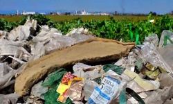 İngiltere'den getirilen plastik çöpler, Çukurova'yı tehdit ediyor!
