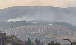 Kahramanmaraş'ta orman yangını