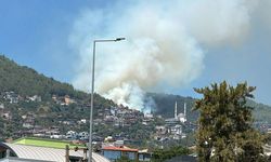 Erdek ve Alanya'da orman yangını!