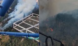 Aydın'da orman yangın çıktı: Ekipler havadan ve karadan müdahale ediyor
