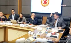 Çerçeve yasa toplantısında İYİ Partili Türkeş ile MHP'li Bülbül arasında 'pislik' tartışması!