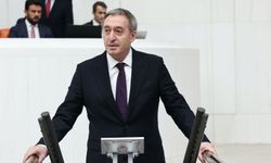 Tuncer Bakırhan: Kürtler ayrılmak istese burada olmazdık, vatan ortaktır