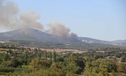 Çanakkale'de orman yangını çıktı