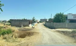 Kedinin ısırdığı 4 yaşındaki çocuk entübe edildi: Kuduz testi pozitif çıktı!
