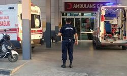 Domuz sandığı babasını av tüfeği ile vurarak öldürdü!