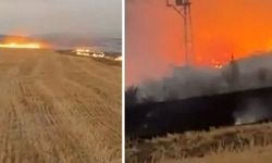 Ankara’da çakmakla kuru otları tutuşturup Gordion’u yakan kişi suçüstü yakalandı