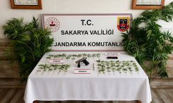 Jandarmanın 2 ayrı uyuşturucu operasyonunda 3 tutuklama