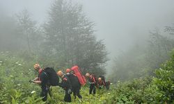Rize'de 2 gündür aranan kişi, 600 metrelik uçurumda ölü bulundu