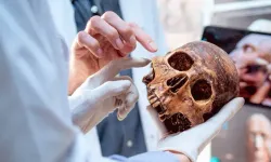 Bilim insanları kafatasının içinde yeni bir organ keşfetti