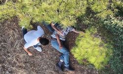 Kayıp huzurevi sakini dron ile yapılan aramada ormanda bulundu
