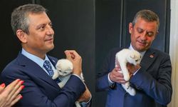 Kedi Zafer CHP'de mi kaldı, Yeni Parti'ye mi geçti?