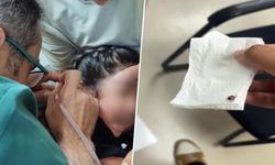 Eskişehir'de çocuğun kulağından canlı kene çıkarıldı!