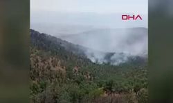 Konya'da orman yangını