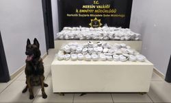 Mersin Limanı’nda 13 milyon liralık kokain operasyonu
