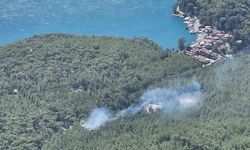 Muğla'da orman yangını: Havadan ve karadan müdahale ediliyor