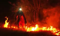 Susurluk’taki orman yangını yeniden başladı