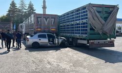 Polisten kaçan sürücü, park halindeki 2 TIR'a çarptı; 2 yaralı