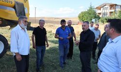 Pursaklar’da nohut hasadı başladı