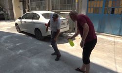 Bursa'da bir sokak pirelerin istilasını uğradı: 'Lavanta yağı sıkmadan duramıyoruz!'