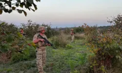 Kilosu 800 bin liraya kadar çıkan safran için jandarma nöbet tutuyor!