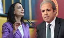 Eski AK Parti milletvekili Şamil Tayyar'dan DEM Parti'ye 'süreç' tepkisi!