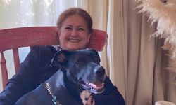 Sibel Tan Çetinkaya kimdir?