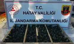 Traktör sürücüsüne 19,8 milyon TL ceza kesildi! İşte nedeni