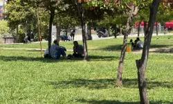 Şanlıurfa yanıyor: 50 dereceye az kaldı