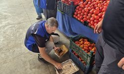 Teraziler tek tek kontrol edildi: Sincan’da pazar denetimi