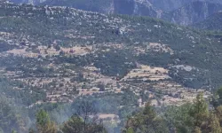 Burdur'da çıkan orman yangını söndürüldü