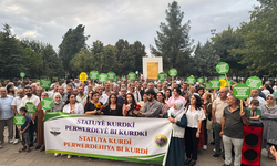 Diyarbakır’da anadilinde eğitim ve Kürtçeye statü talebi