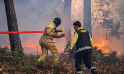 Antalya ve Adana'da orman yangını: 300’e yakın ev tahliye edildi!