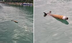 Artvin'de roket paniği: Sahil Güvenlik güvenlik önlemi aldı!
