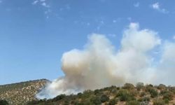 Balıkesir'in Sındırgı ilçesinde orman yangını