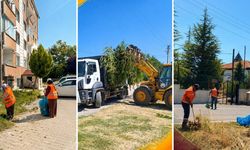Kahramankazan’da çevre temizliği çalışmaları sürüyor