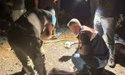 Antalya'da çoban kafatası buldu
