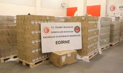 Kapıkule Gümrük Kapısı'nda 79 bin 790 serum ve infüzyon seti ele geçirildi