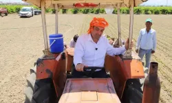 AK Partili belediye başkanı hasat sırasında elini makineye kaptırdı!