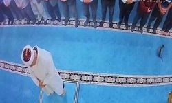 Camide kediyi tekmeleyen kişi gözaltına alındı