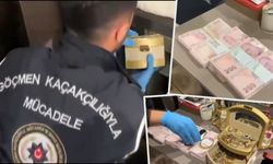 'Sahte belgelerle vatandaşlık' operasyonu: 32 şirkete el kondu, 33 kişi tutuklandı