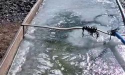 Kars’ta eyül ayında sular buz tuttu
