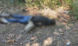 Kastamonu'da dere kenarında erkek cesedi bulundu: 1 gözaltı