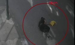 Hareket halindeki kamyonetin kasasından düştü; kaza kamerada