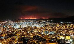 Orman yangınları: Adana'da 40 ev, Antalya'da 254 hane tahliye edildi